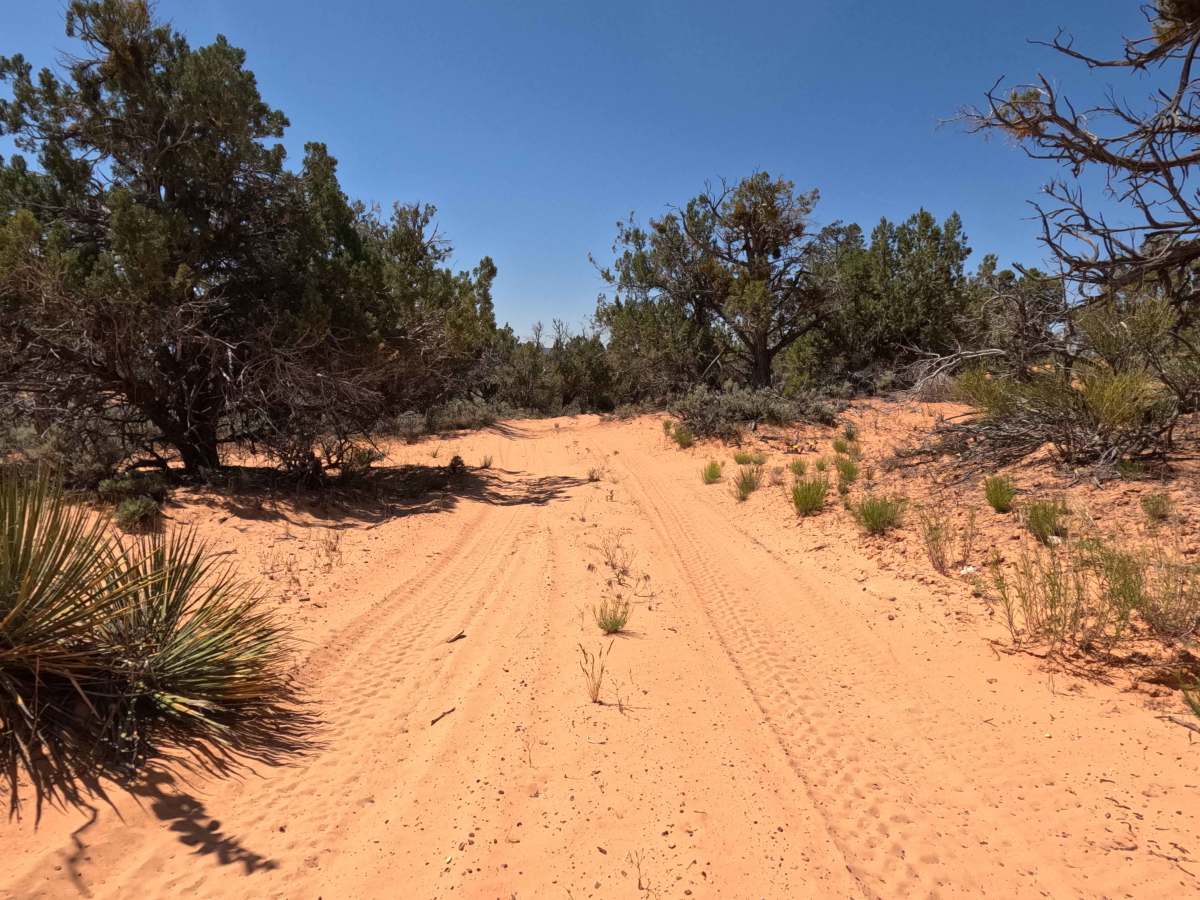 BLM 33B photo 6