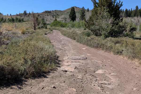 Big Spring Spur Road
