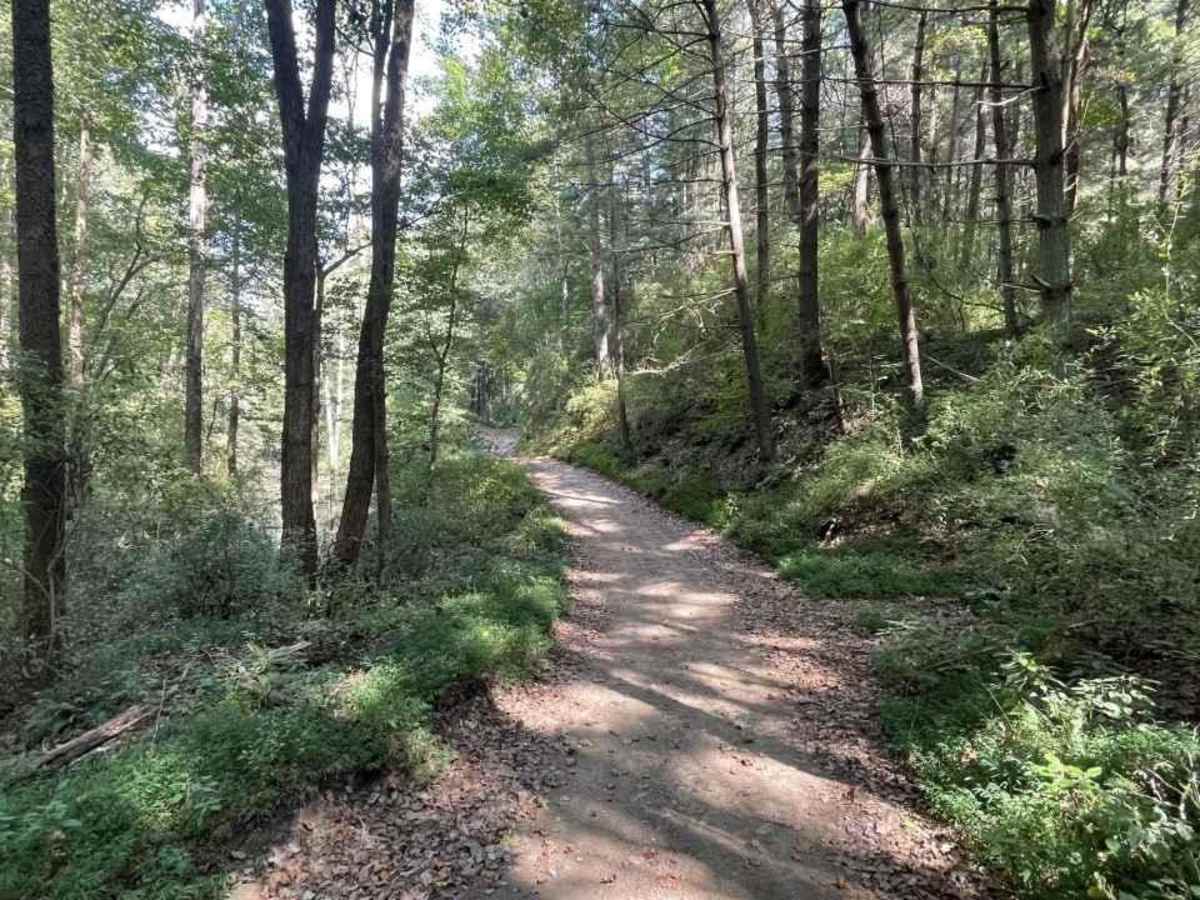 Trail 5 BF Goodrich Trail photo 5