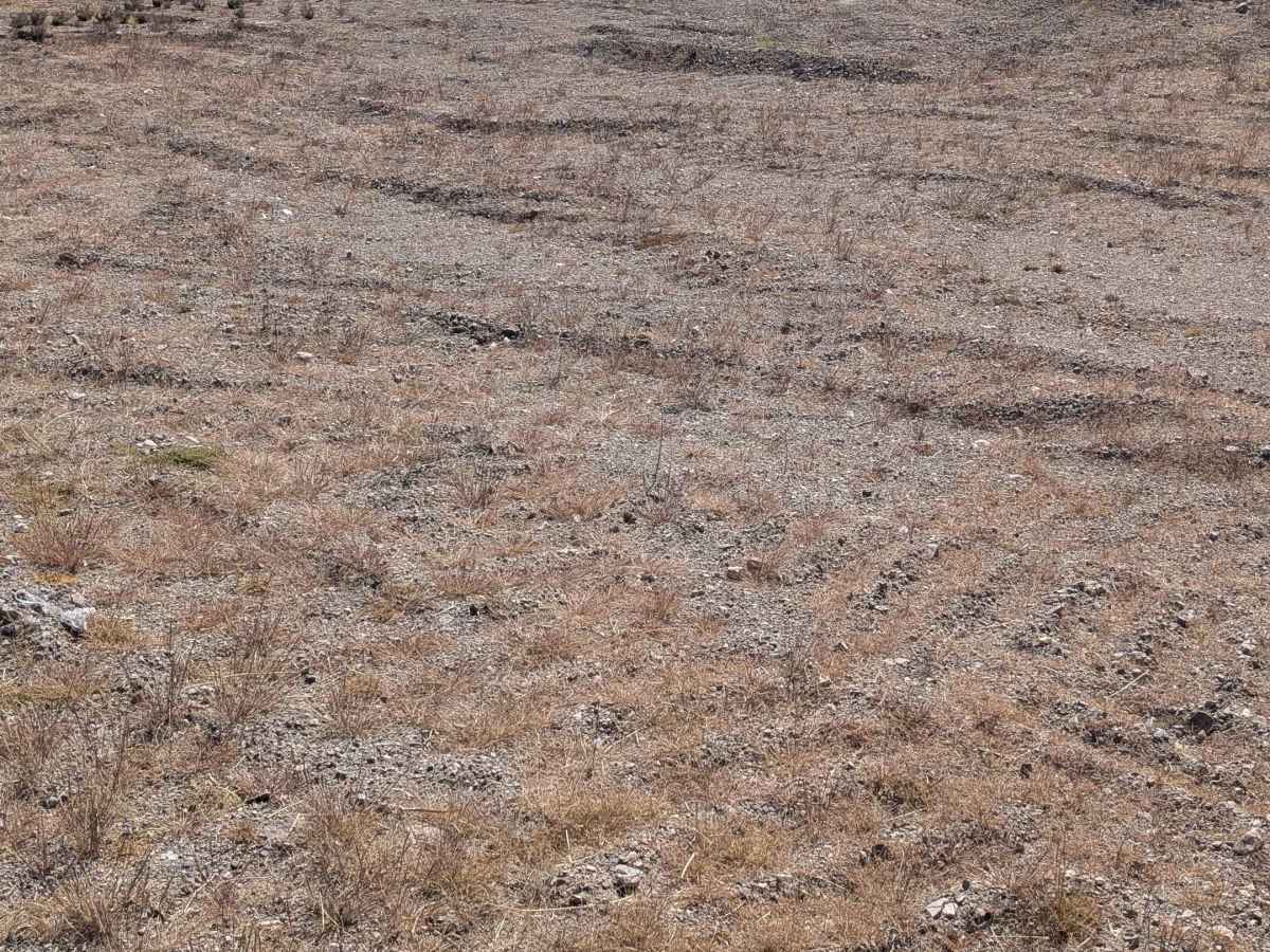 BLM 776 photo 5