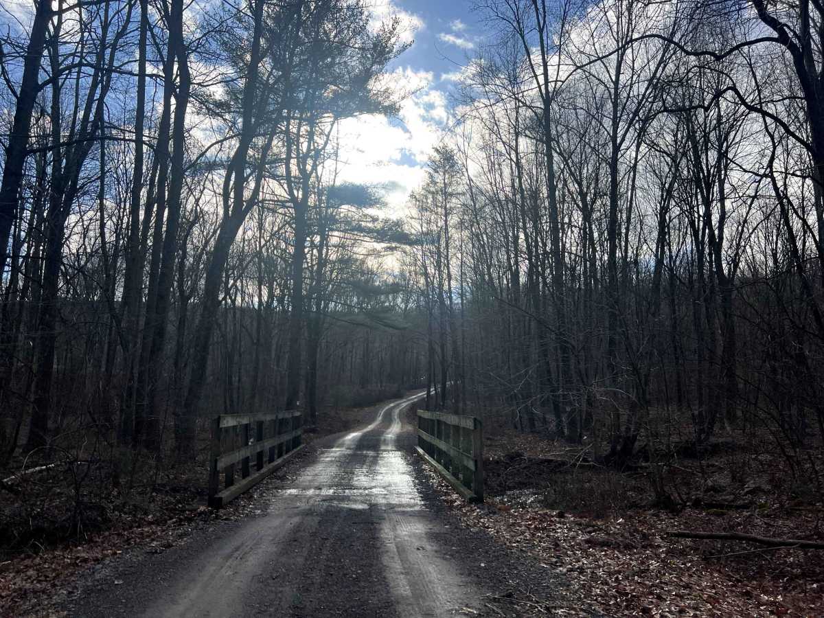 Bear Creek Road trail photo