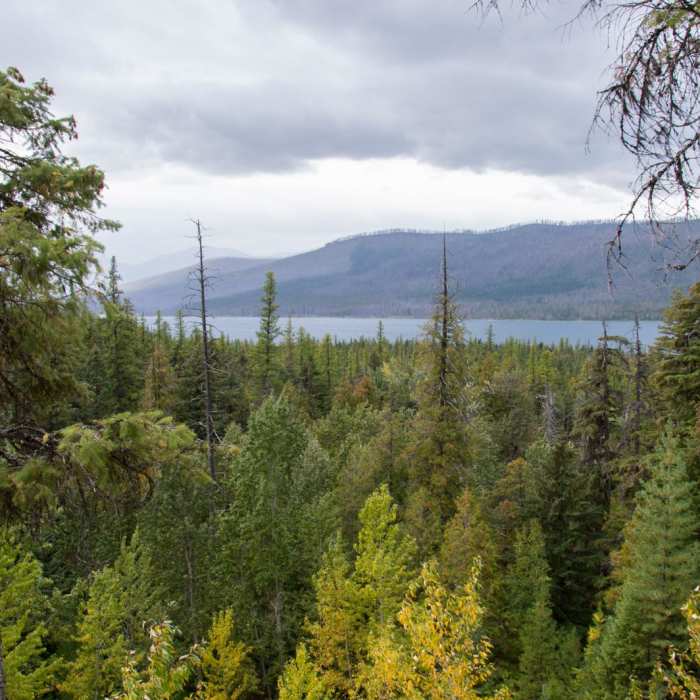 Near Sperry Trailhead to Sperry Chalet