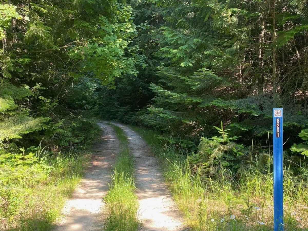 Flat Creek photo 5