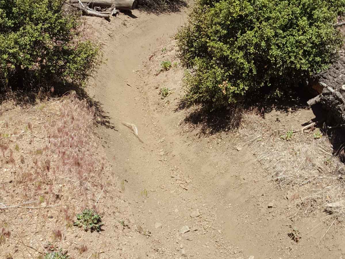 Whata OHV - FS 20W25 photo 5