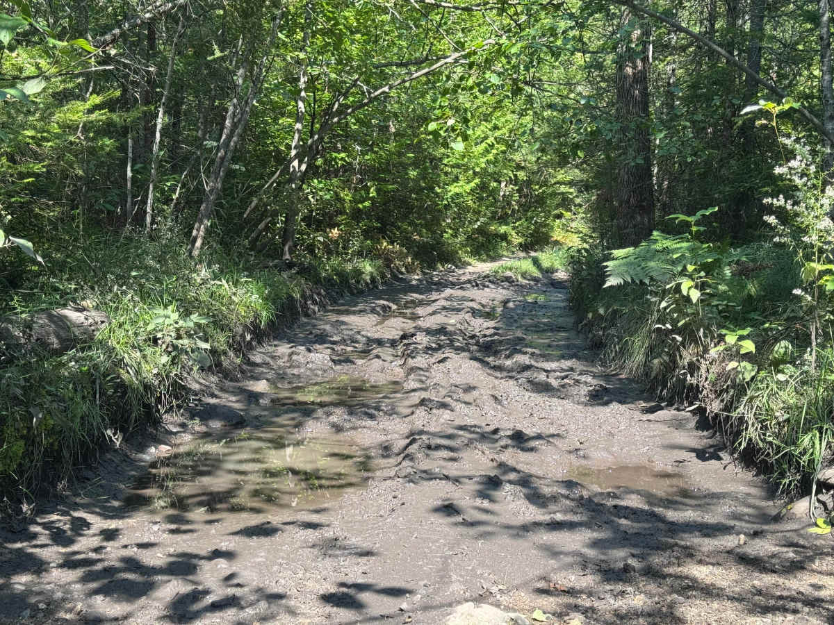 Reynolds Bay Trail photo 4