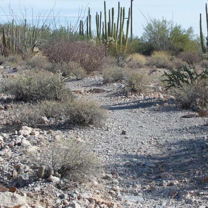 The trail is a little rockier here as it descends toward the parking lot. Near Campground Perimeter Trail