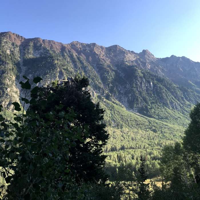 Near White Pine Lake Trail