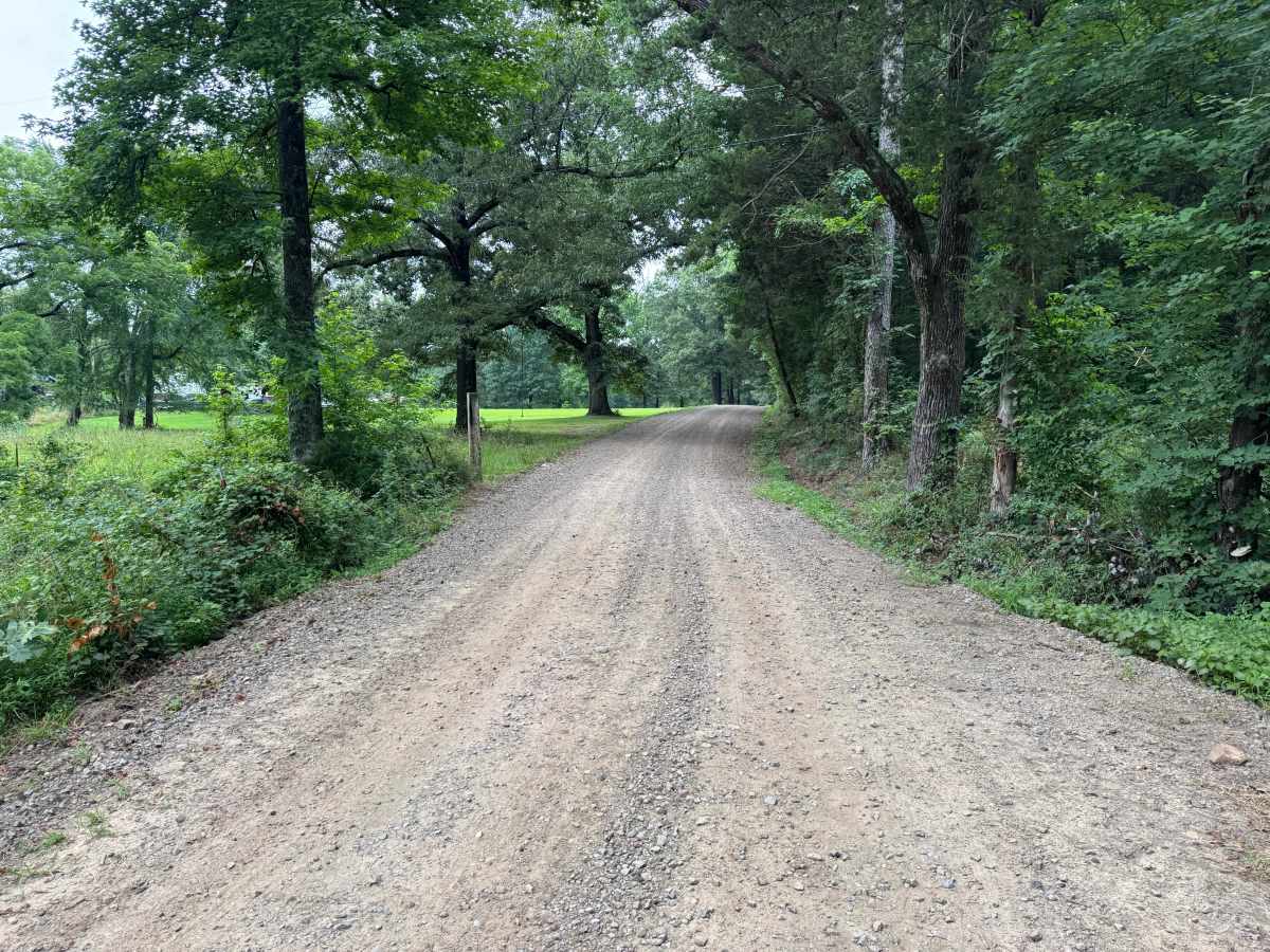 County Road 3290 trail photo