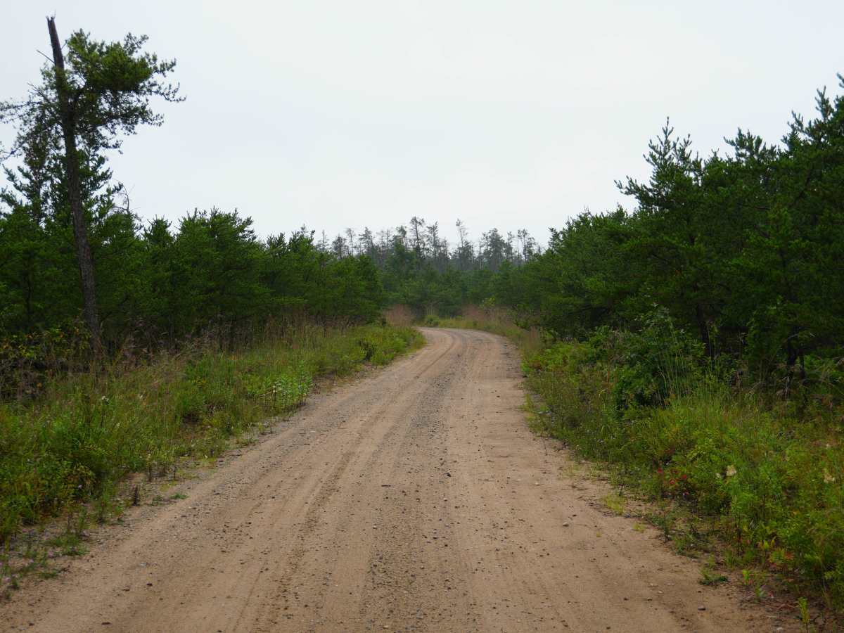 Deer Road photo 4