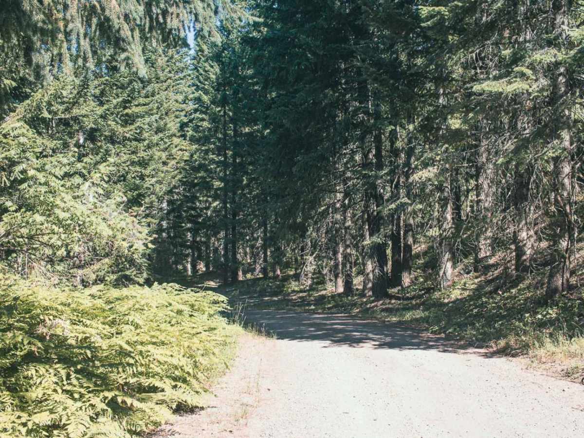 Calf Ridge photo 4