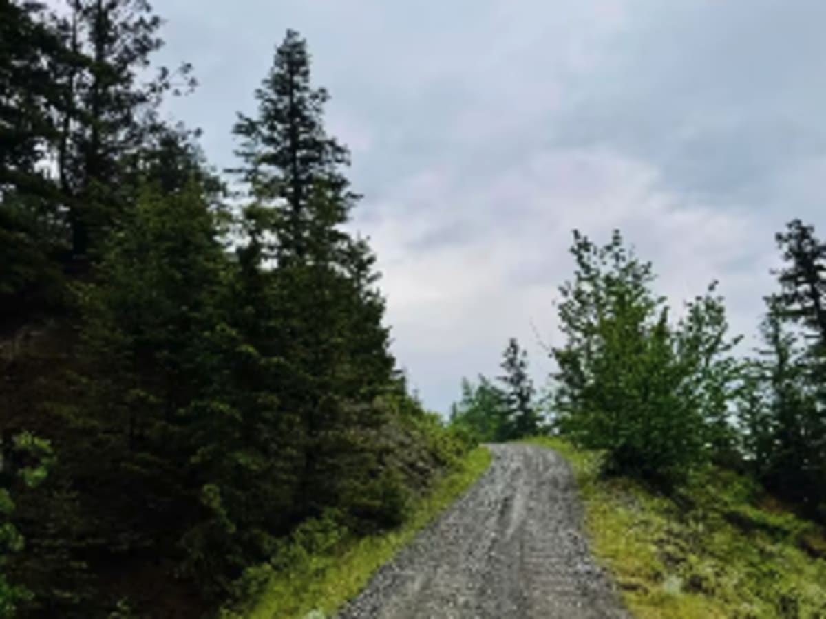 Elkin Taseko FSR photo 5