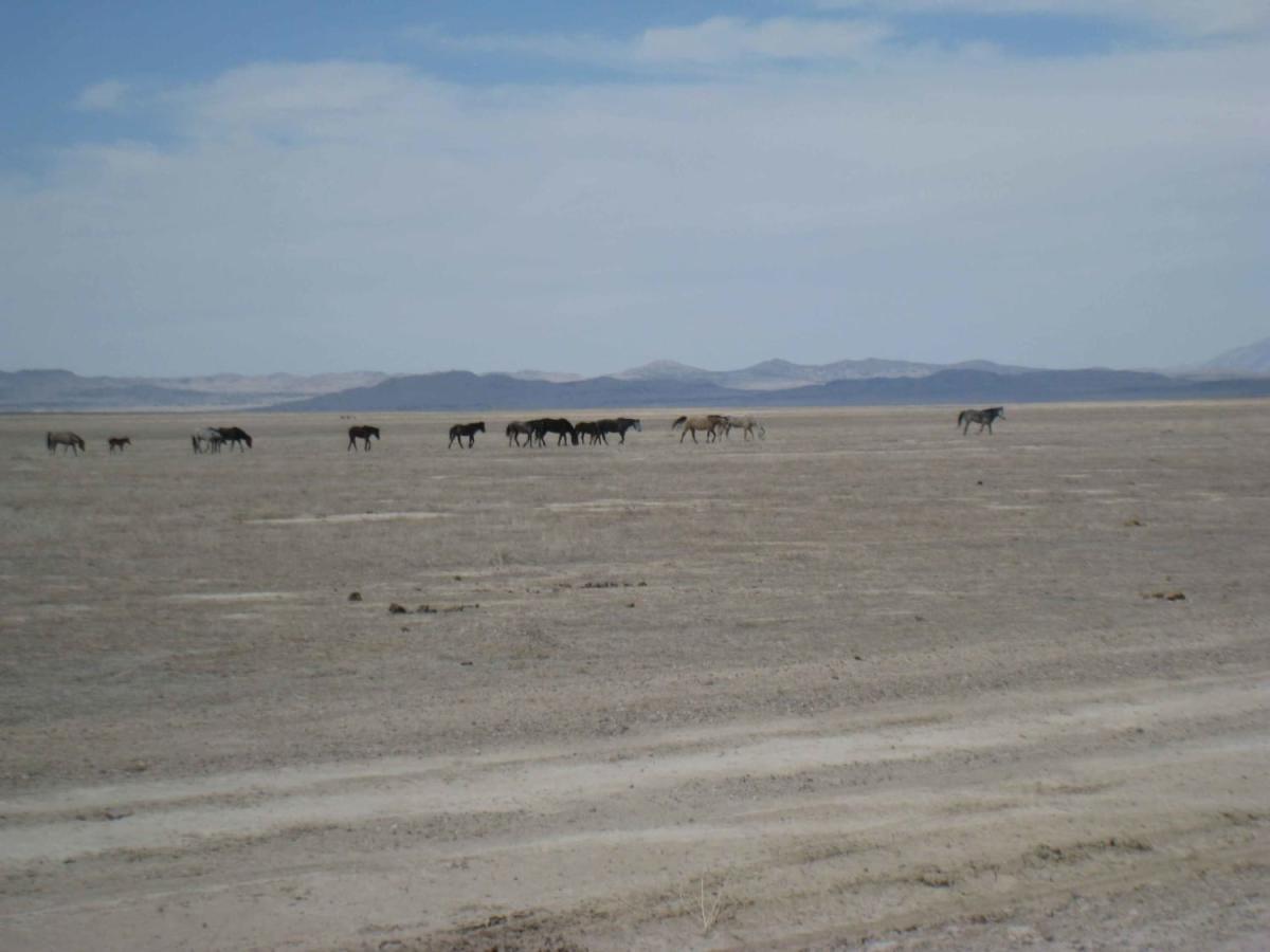 Dugway Geode Beds photo 6