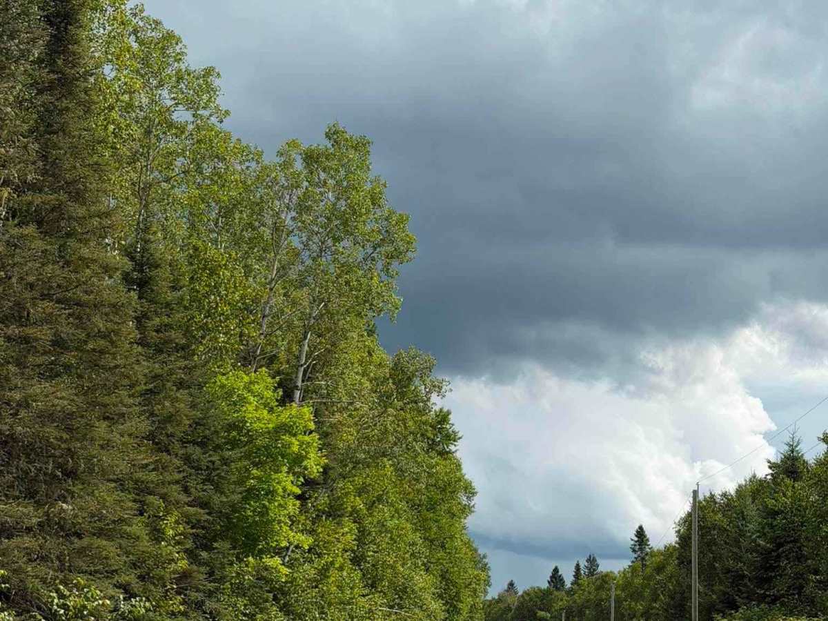 Chemin Guérette photo 6