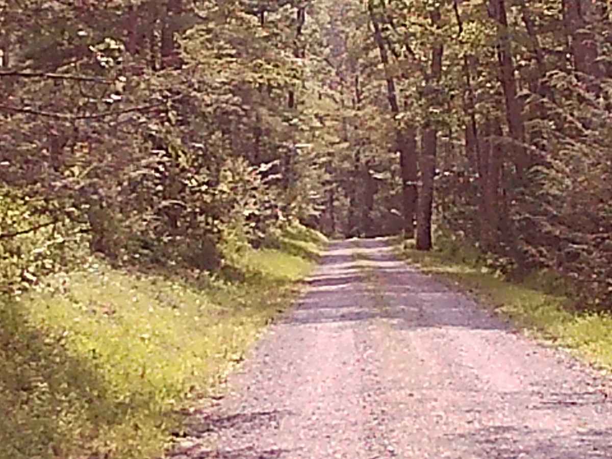 Hoofnagle Road photo 5