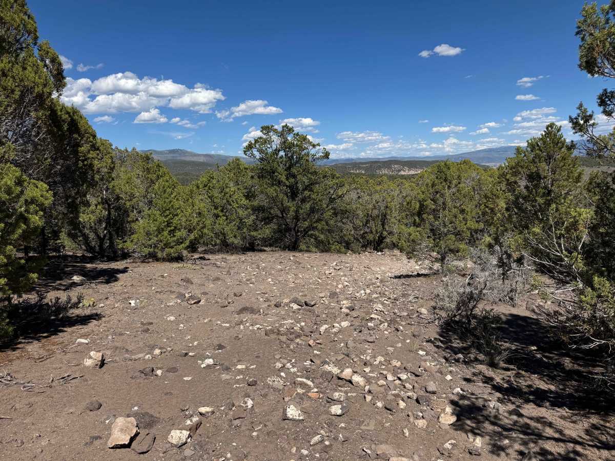 BLM 8464 photo 4