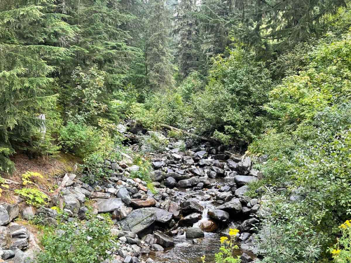 Lightning Creek photo 6