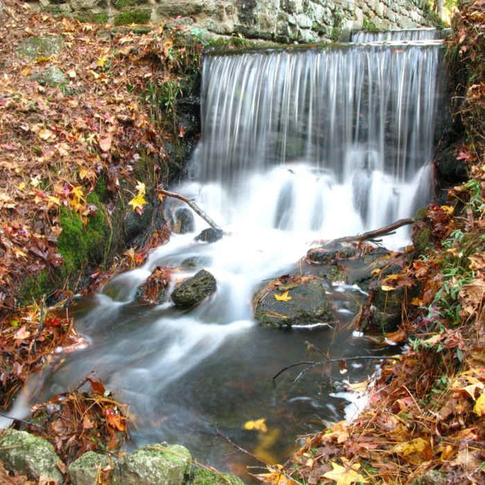 Mini waterfall Near Poinsett Loop Hike