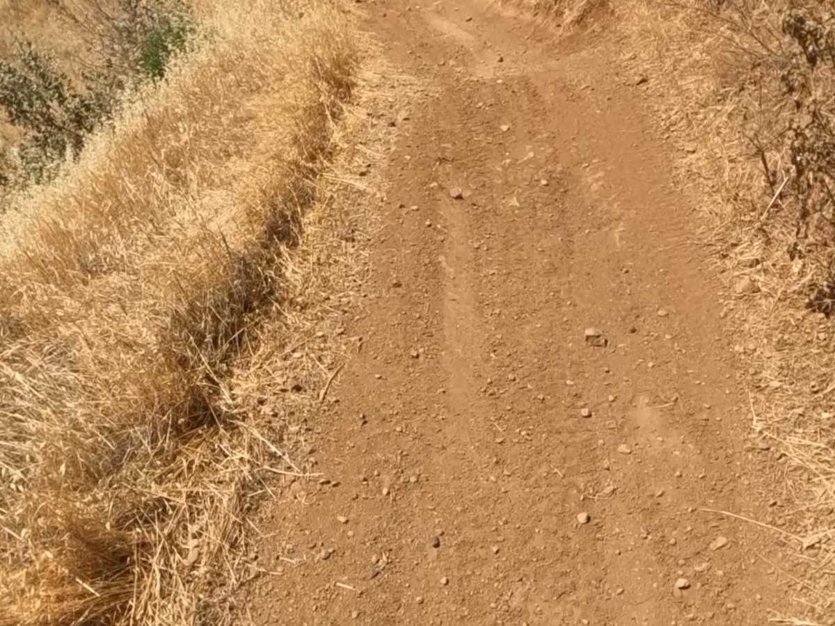 Ridge trail photo 3