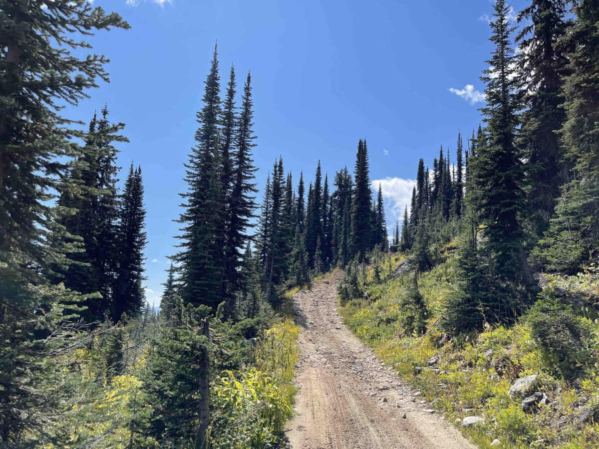 Mara Lookout High Trail photo 4