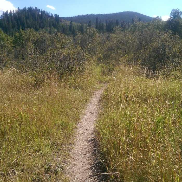 Near Whiskey Creek