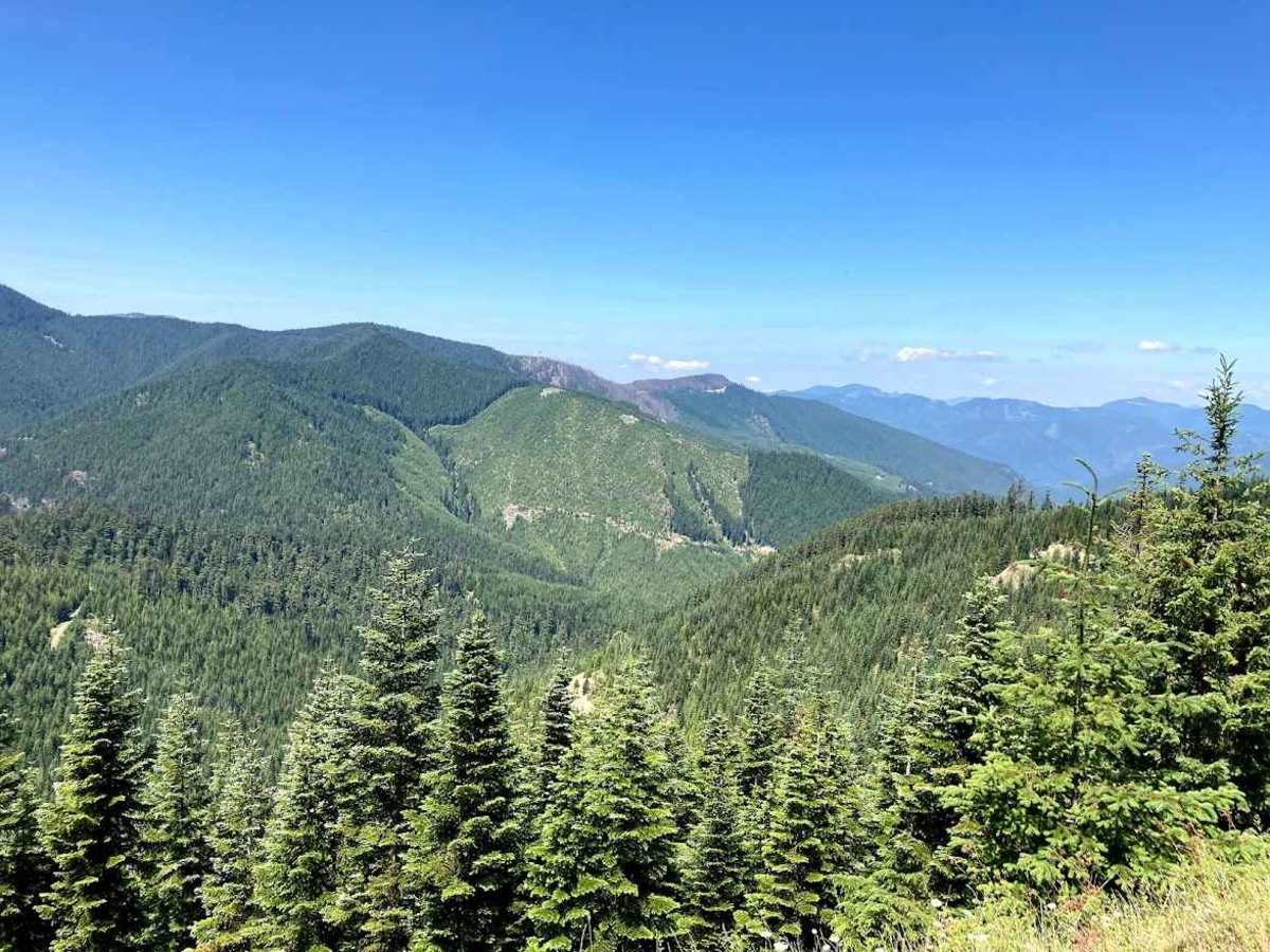 Stampede Pass - Crystal Springs to Greenwater photo 4