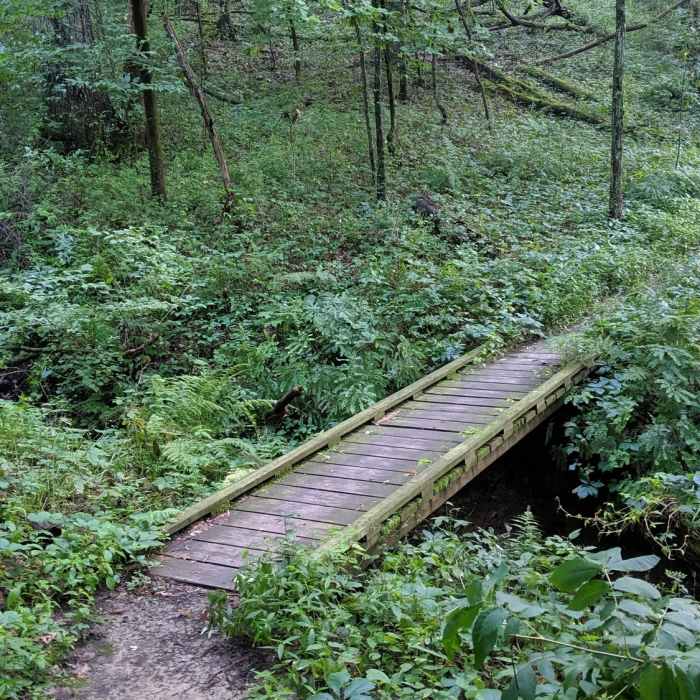 Fun bridge in the forest Near Ice Age Trail-Cross Plains Segment
