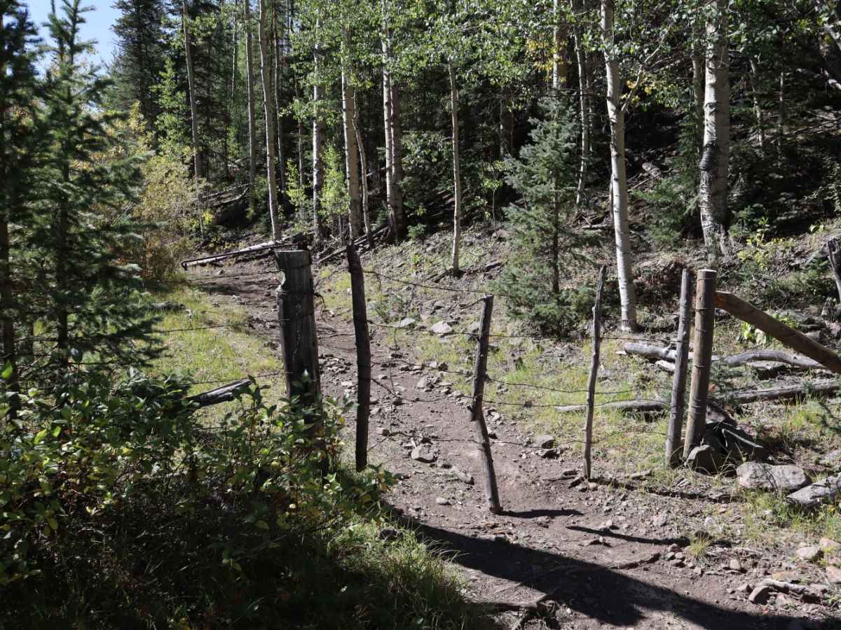 Bennet Creek 1 photo 2