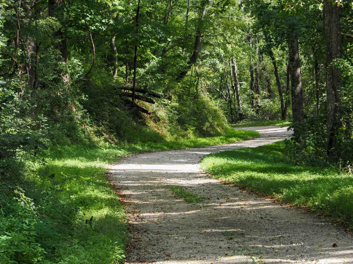 Mount Horeb Road trail photo