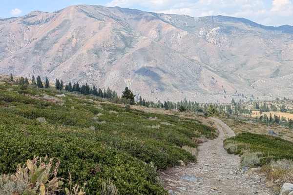 Upper Summer Meadows Road - FS 32144