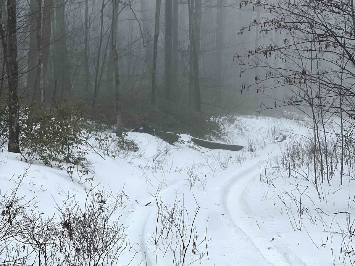 Left Straight Run Trail photo 5