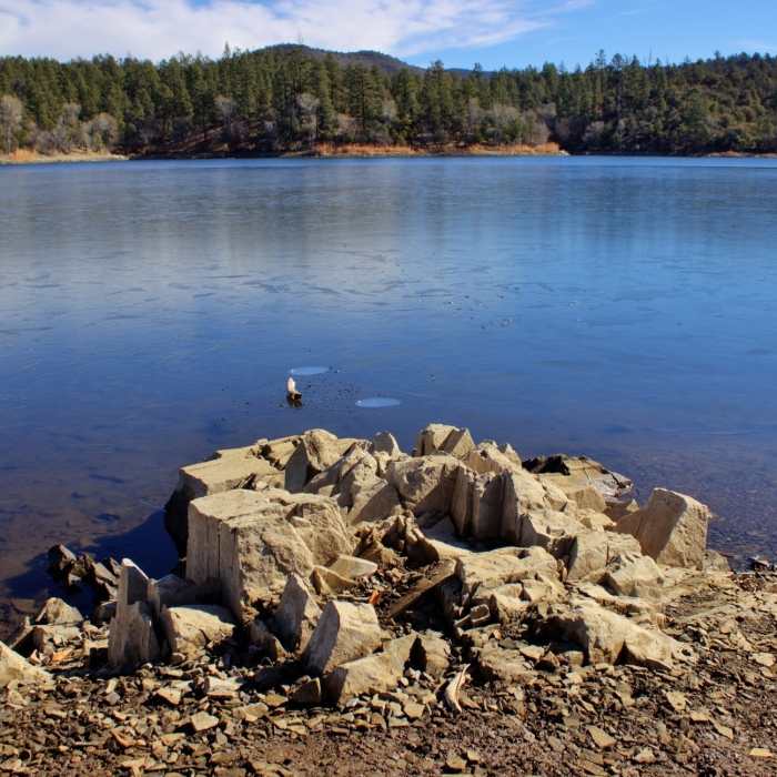 Lynx Lake Near Lynx Lake Trail #0311