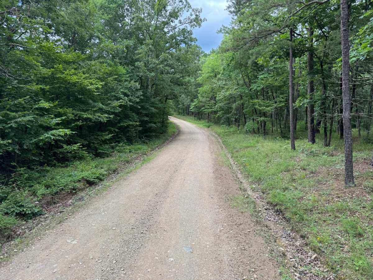 River Bluff Road photo 4
