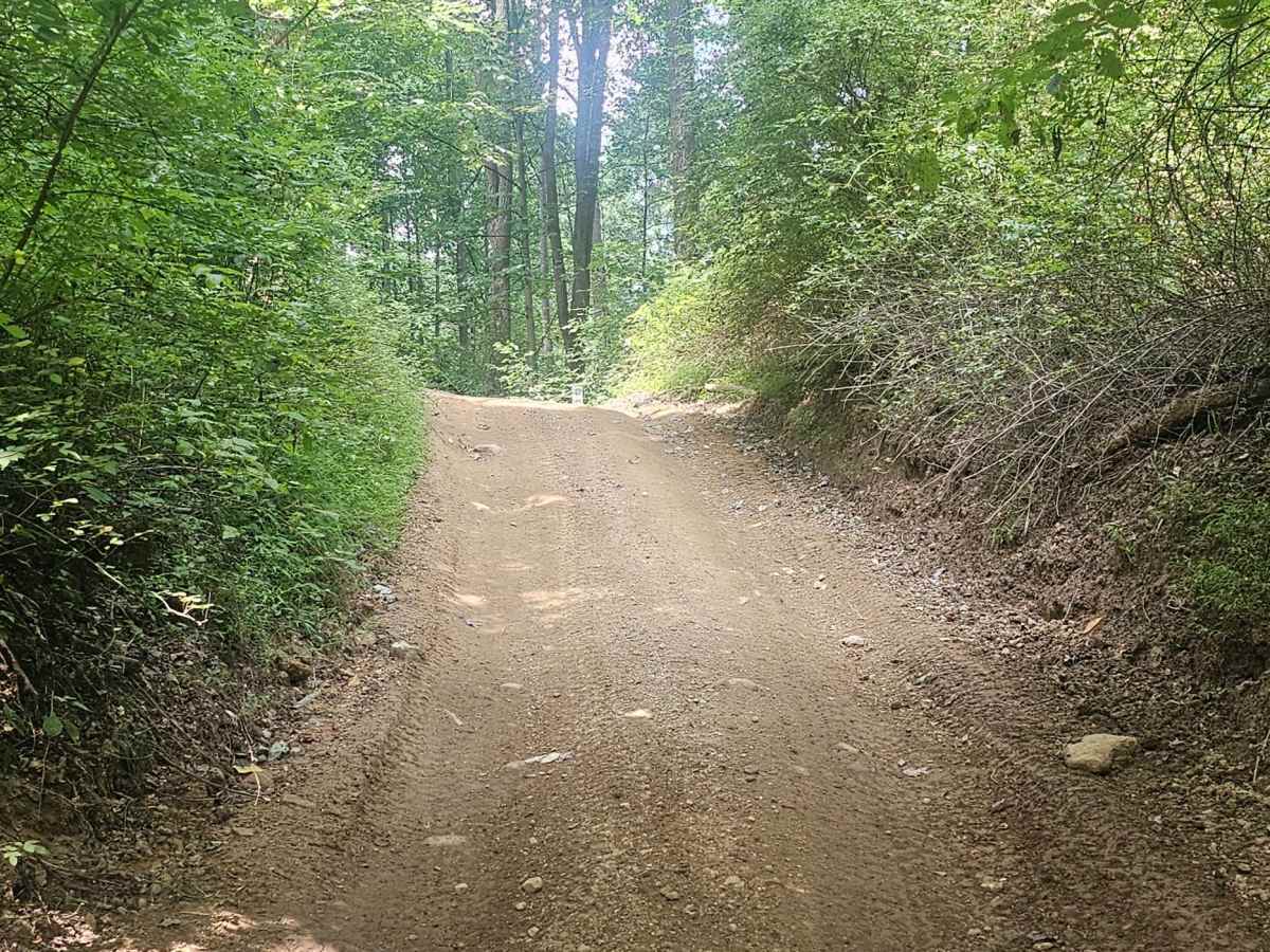 Trail 12 photo 3