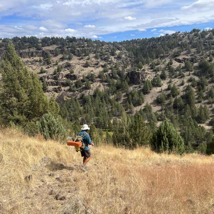 Near Donner Und Blitzen River Hike Near Donner Und Blitzen River Hike