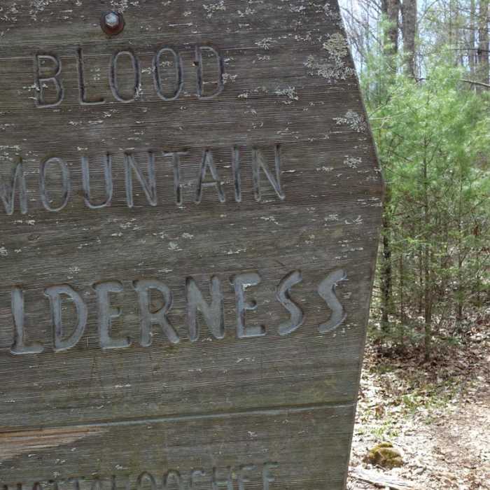 Near Blood Mountain Loop