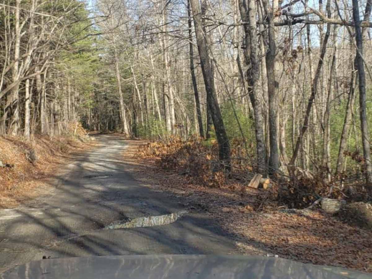 Pinicale Mt Rd photo 2