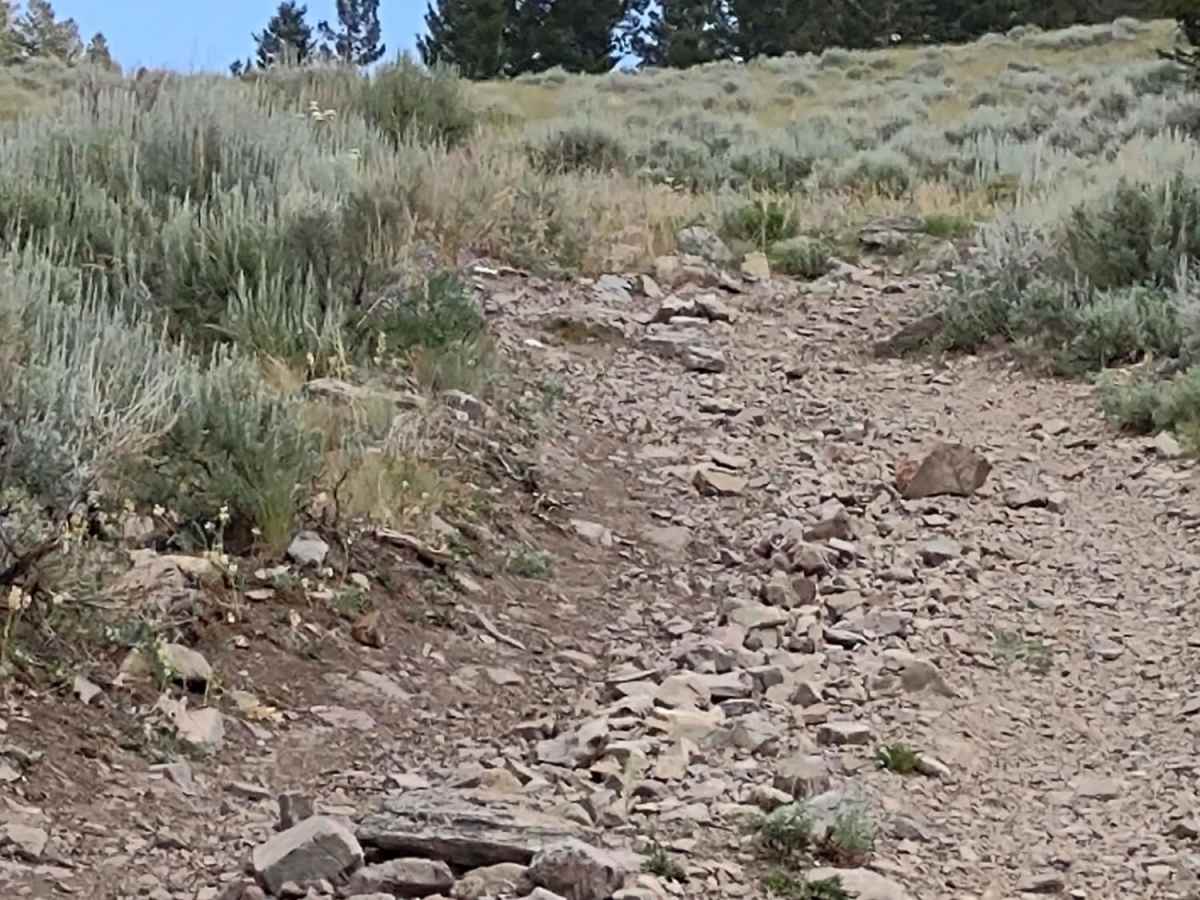 Ratio Mountain Majesty Loop photo 3
