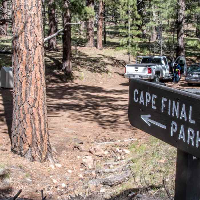 Near Cape Final Trail