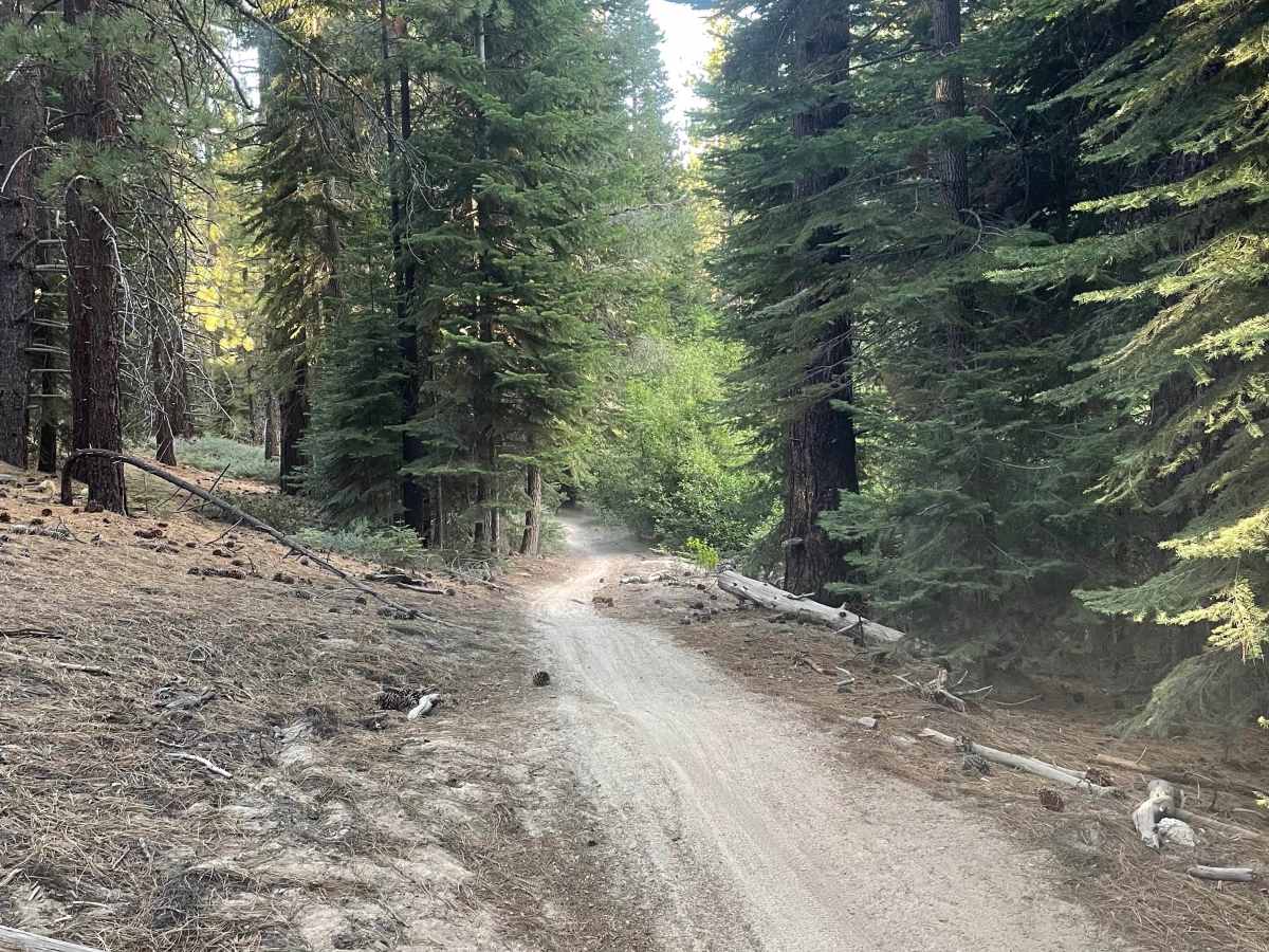 High Meadows Trail photo 3