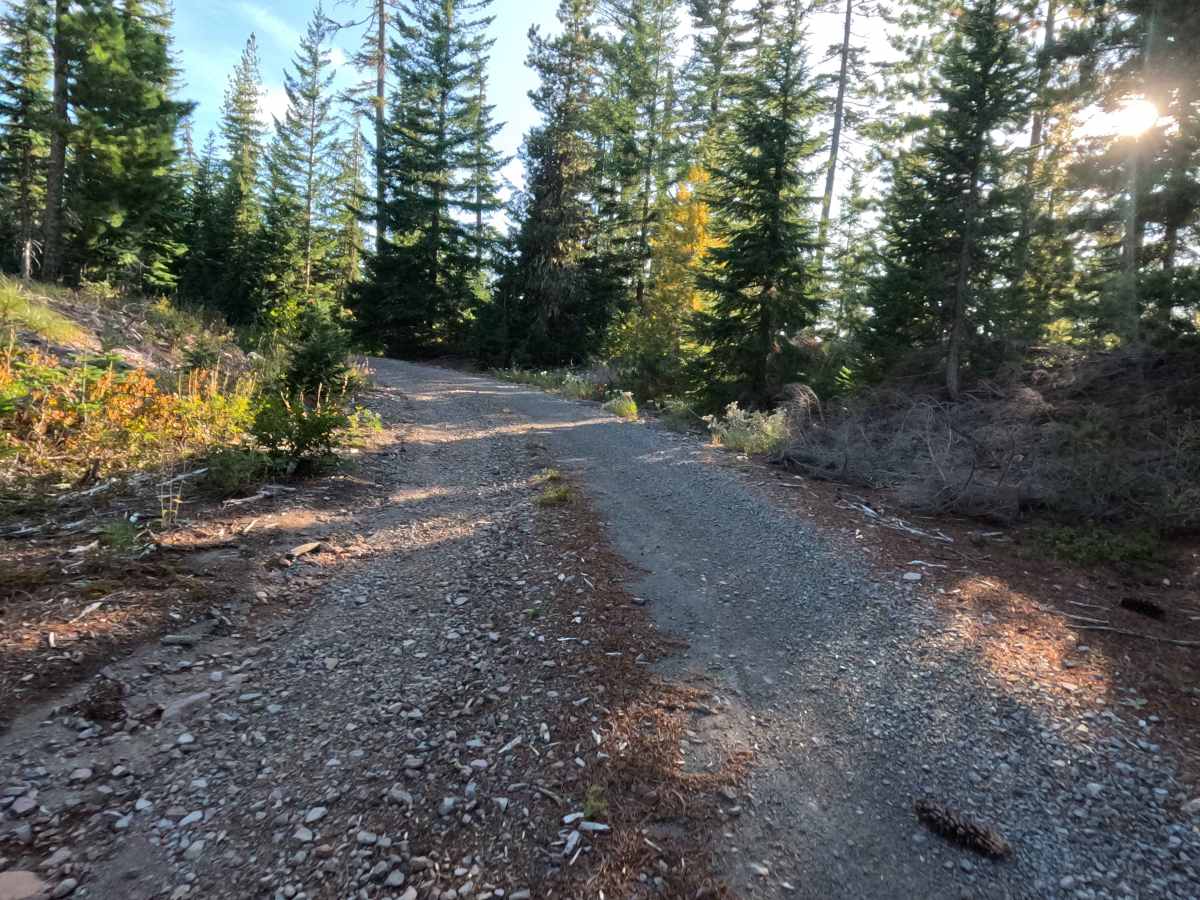 FS 1631 trail photo