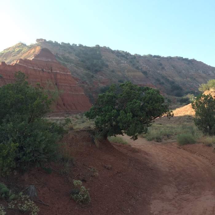 Morning shade. Near Lighthouse Trail