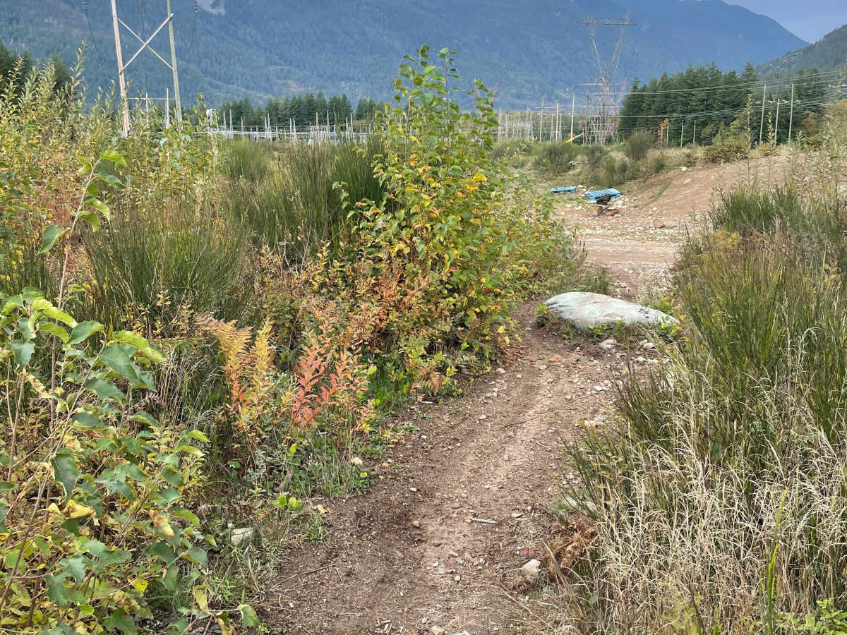 Rob’s Rip Cut Out West trail photo