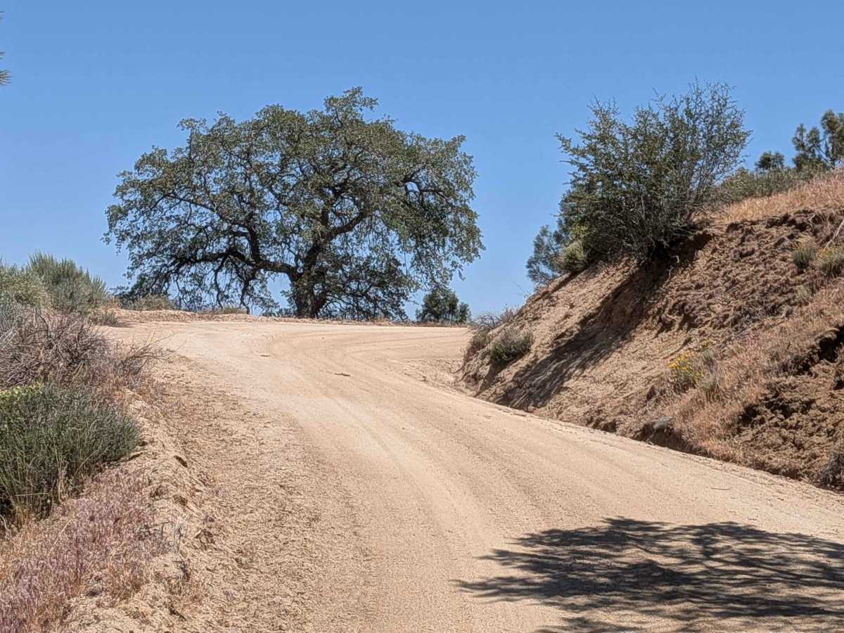 Old State Road South photo 6