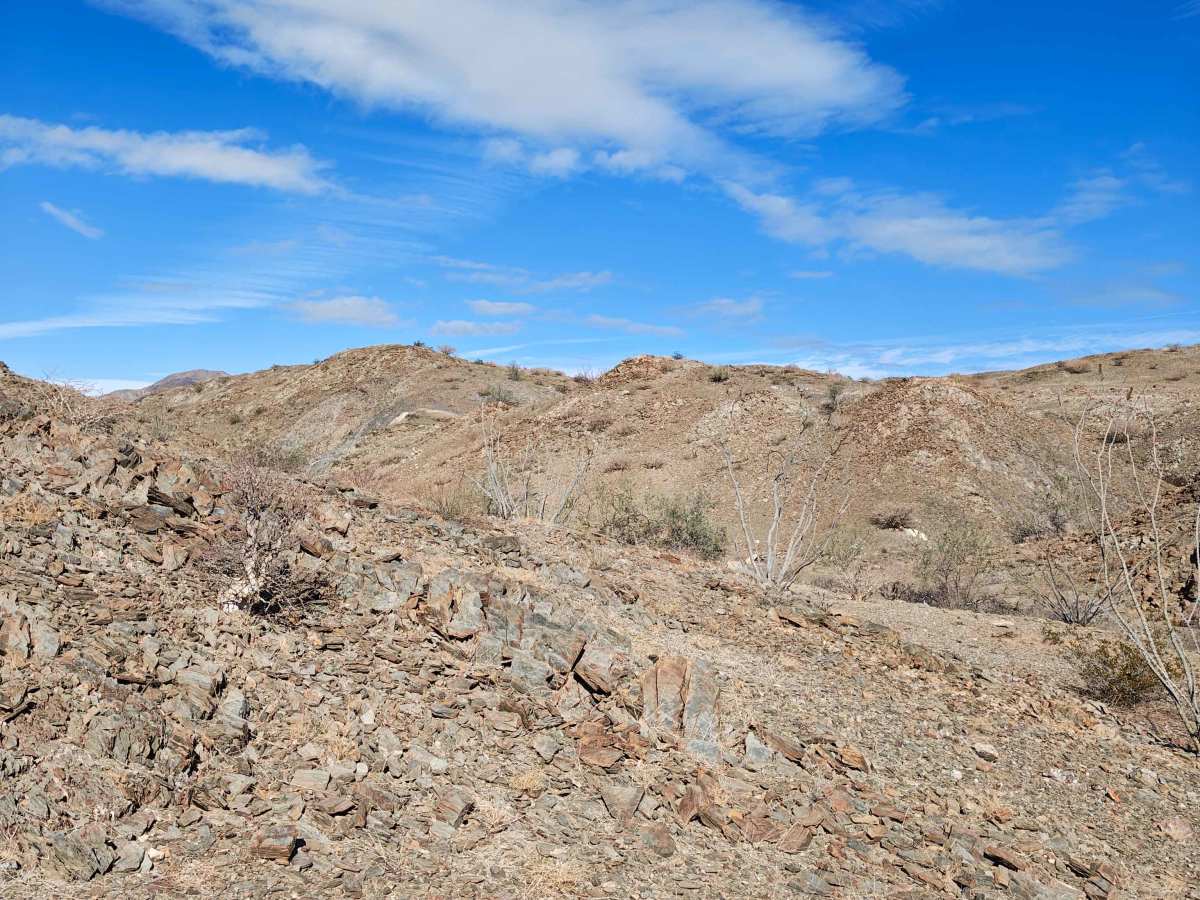 La Gringa Fun Loop - Single Track photo 2
