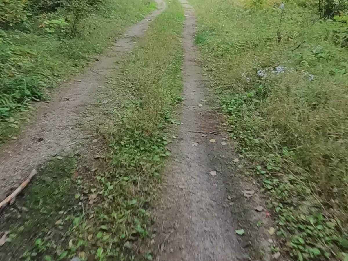 Brevoort Lake Road - FS 3424 trail photo