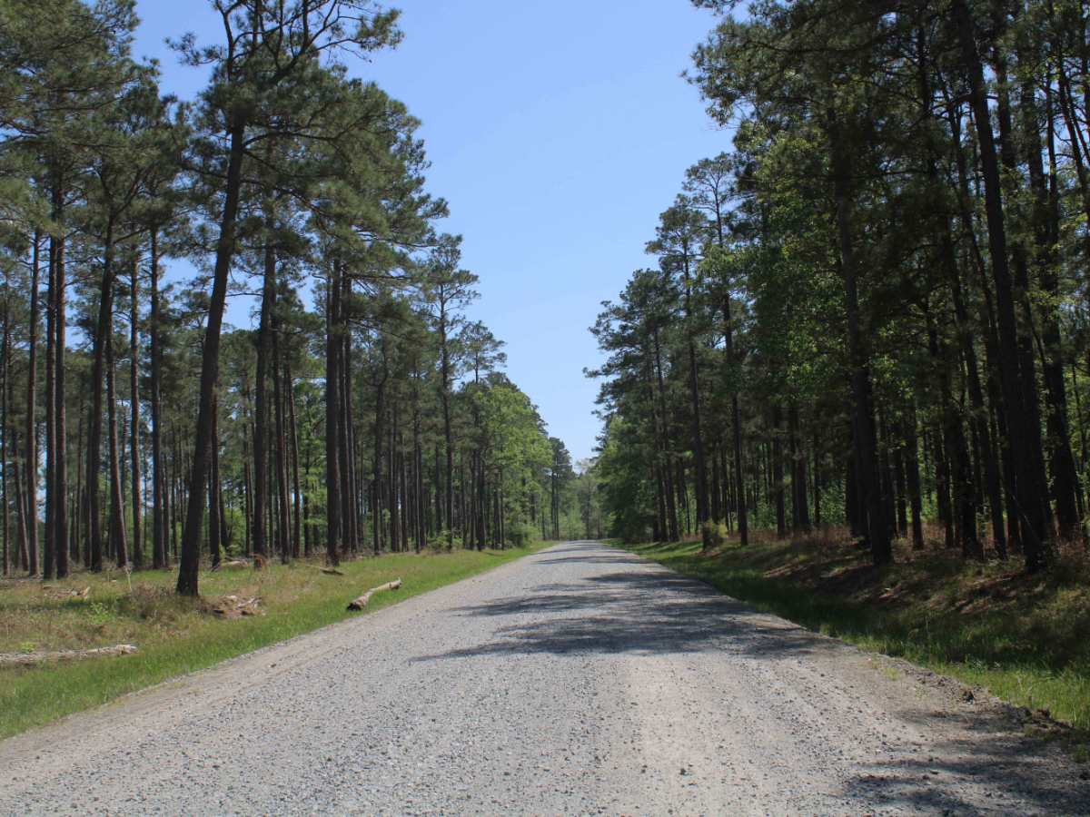 The Arkansas Overland Route - TrailHawk Loop - Section 20 photo 5