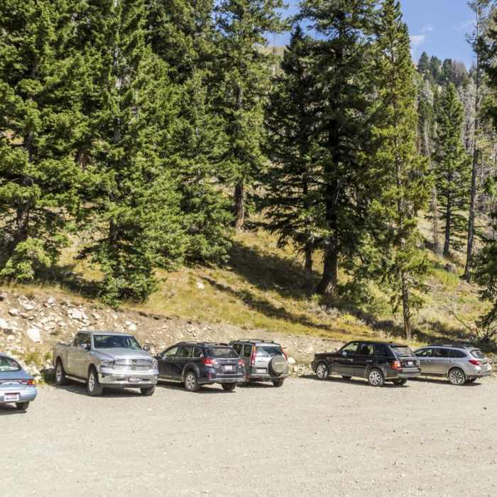 Near Baker Lake Hike