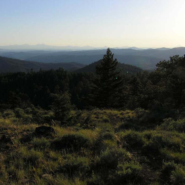 Near Round Mountain Trail (#805)