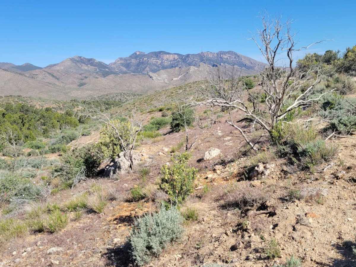Utah Hill Road photo 5