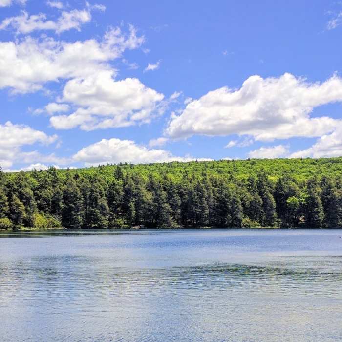 Hemlock Pond provides pleasant trailside companionship. Near Buttermilk Falls, Crater Lake, and Hemlock Pond Loop